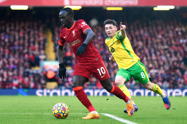 出色的男性 出色的男性